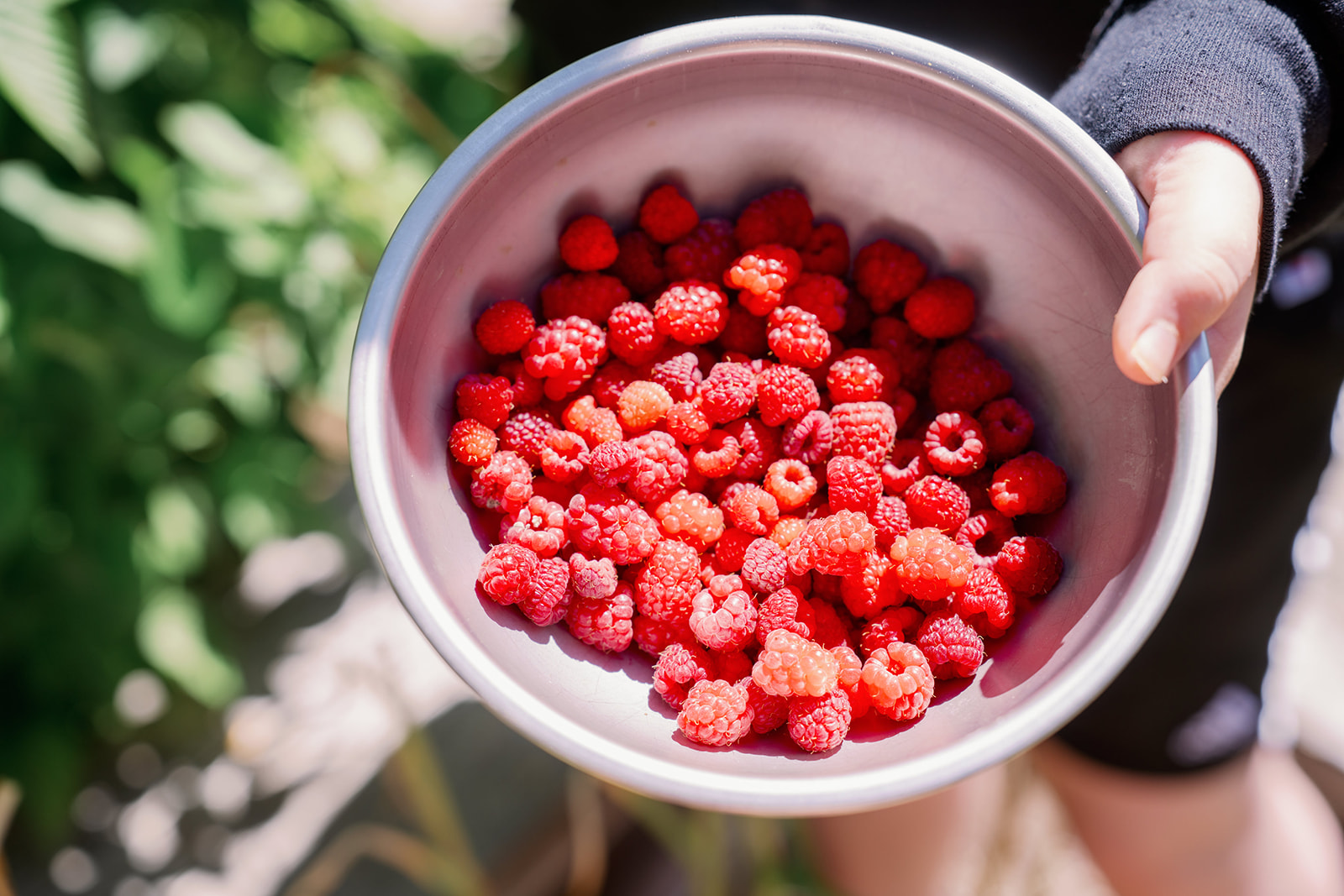 Bella Luna Farms | Farm & Larder
