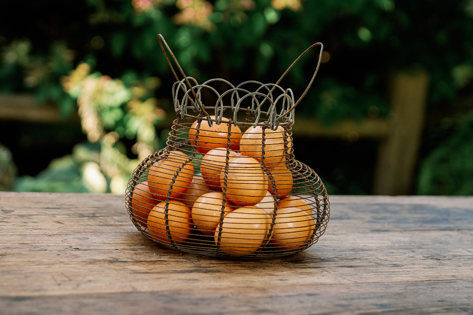 Bella Luna Farms | Farm & Larder