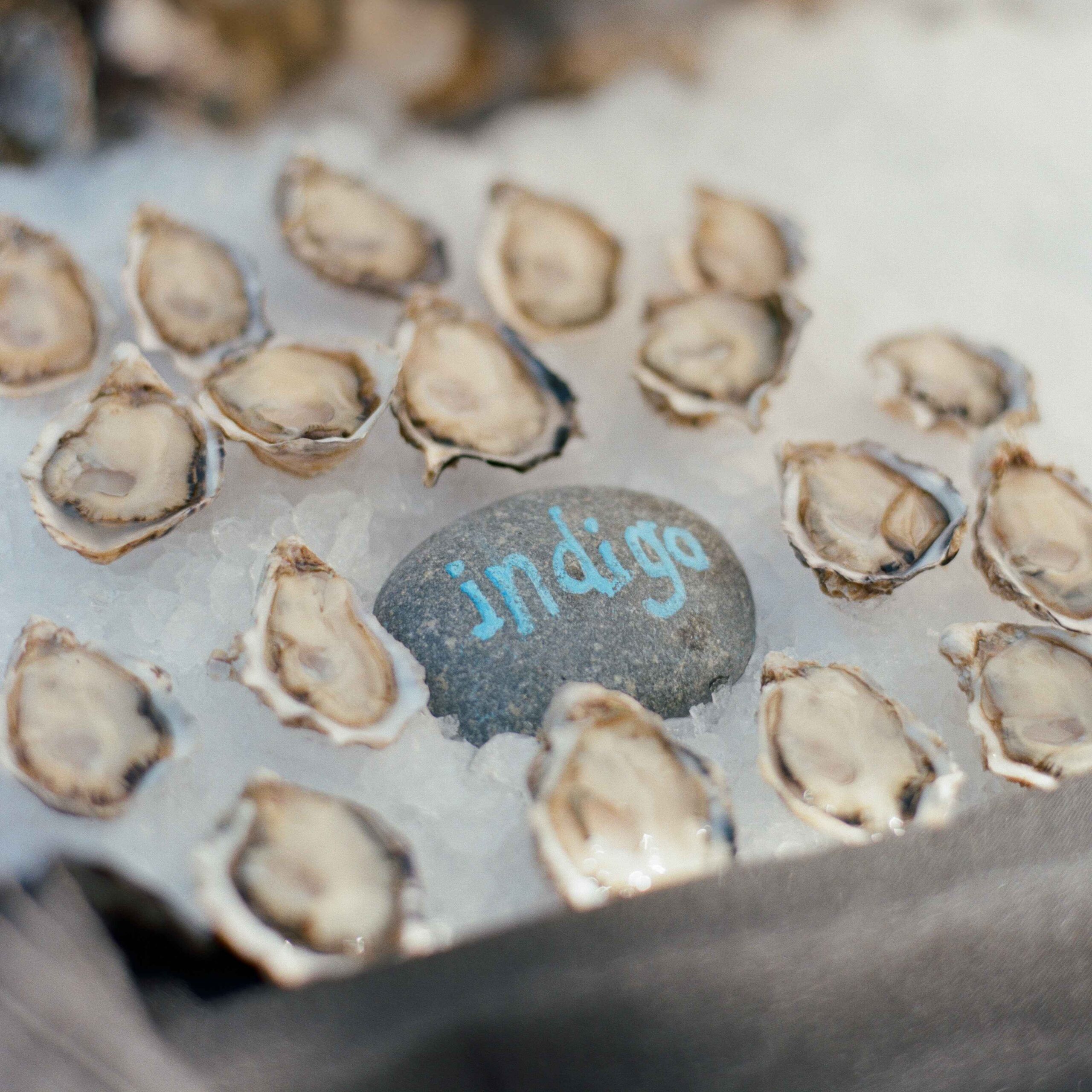 Oysterology 301: Mastering the Oyster Experience, from Shucking to Savoring