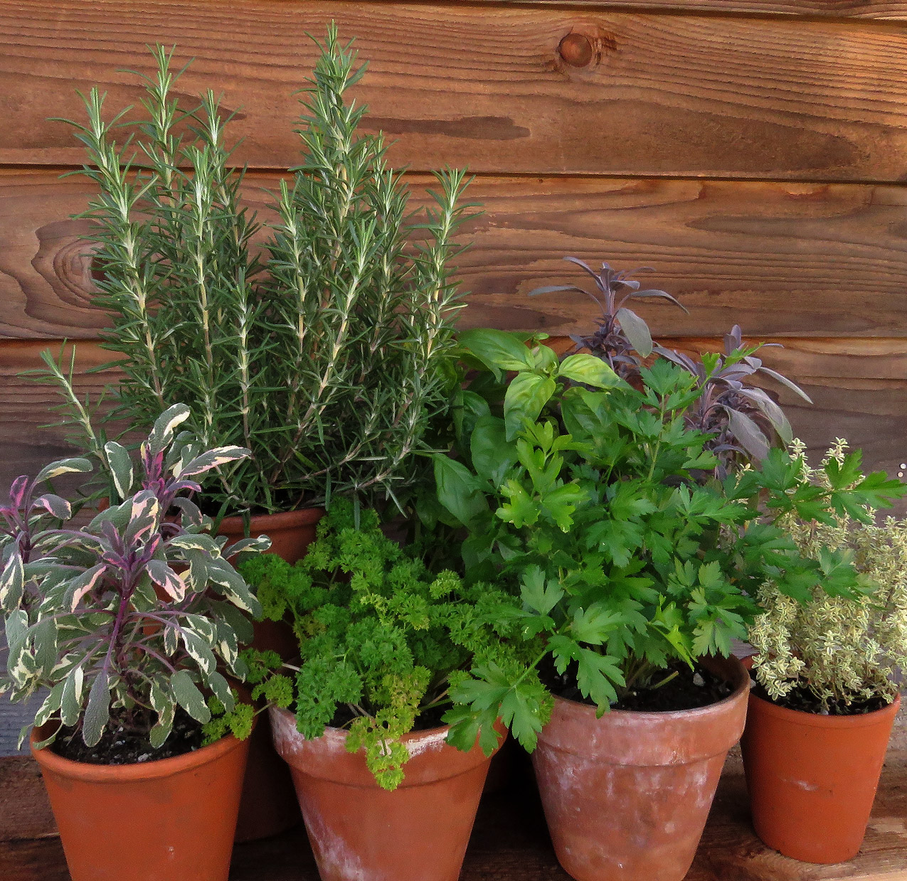 Gather & Grow: A Mother’s Day Celebration