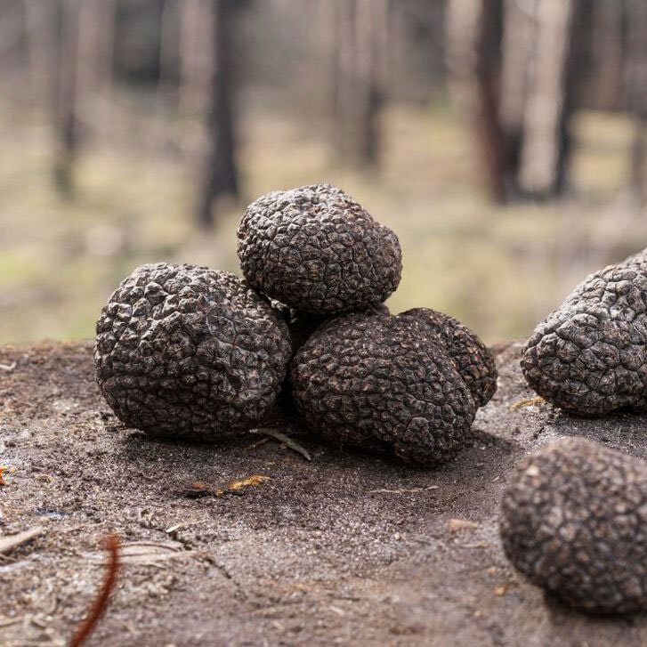 farm-and-larder-class-truffle-shop